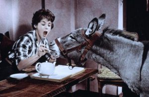 Lady Country Doctor 03