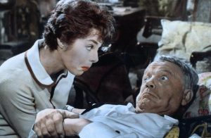 Lady Country Doctor 04