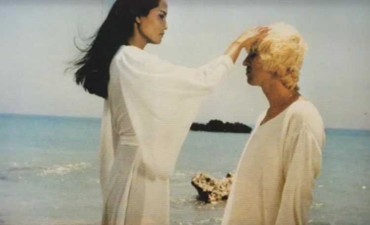 Le cinéma allemand par genre : Nanar